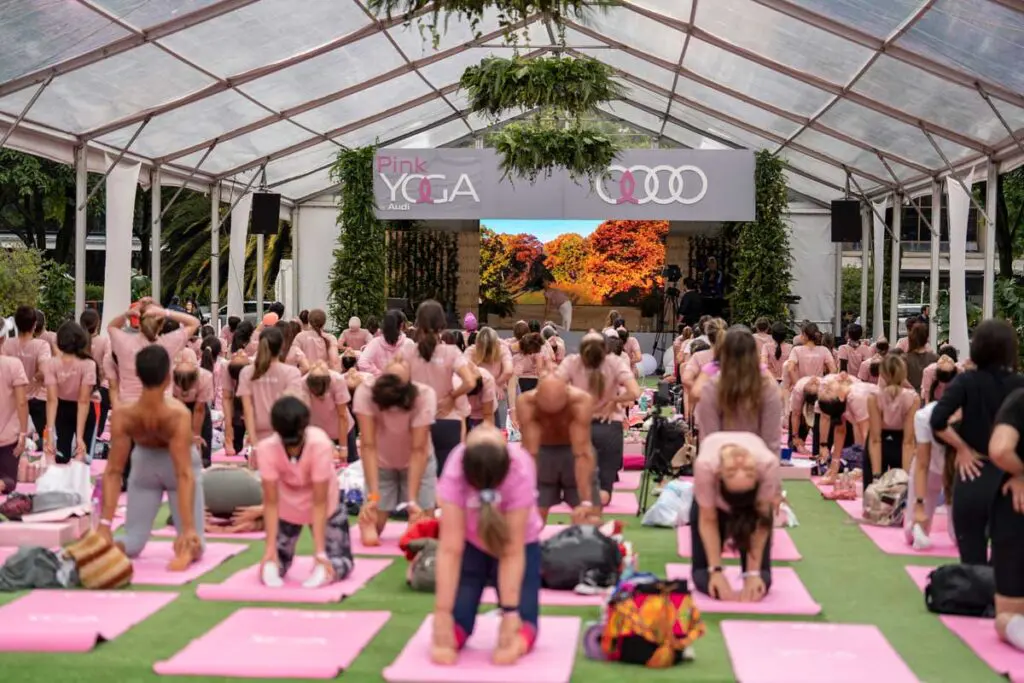 Pink Yoga Audi Colombia