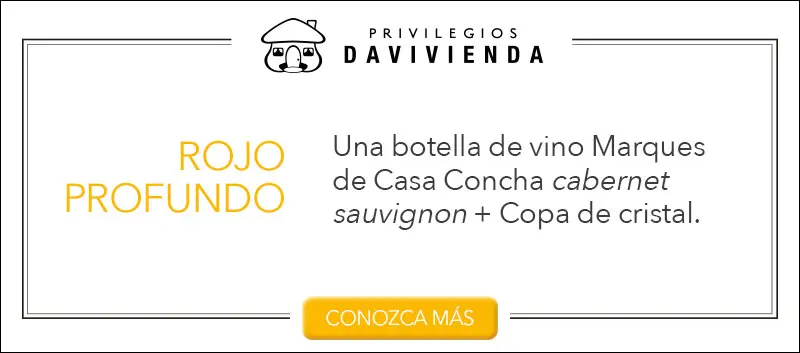 Una selección de cuatro de los mejores vinos chilenos para tener en casa