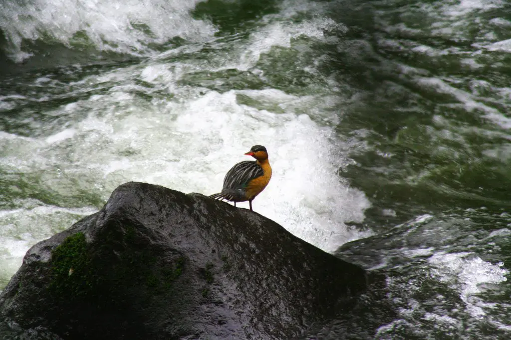 5 parques naturales en Colombia que debería visitar en 2025 5 parques naturales en Colombia que debería visitar en 2025
