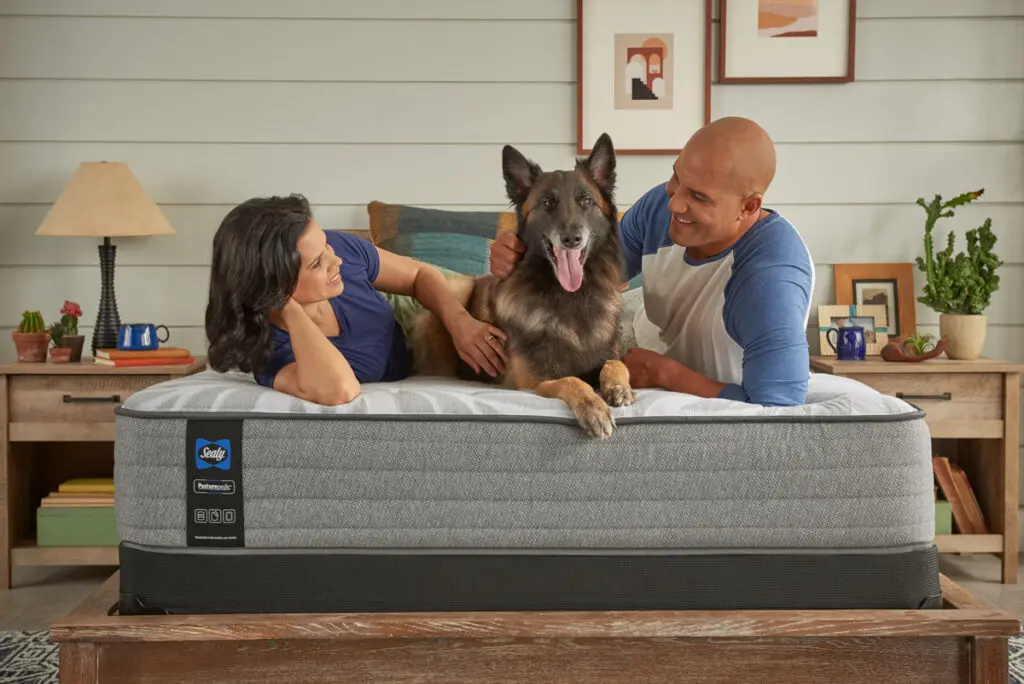 Sealy colchones el dorado