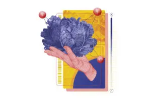 Social Skin 2021: 6 jóvenes que emprenden por un mundo mejor SiembraCo