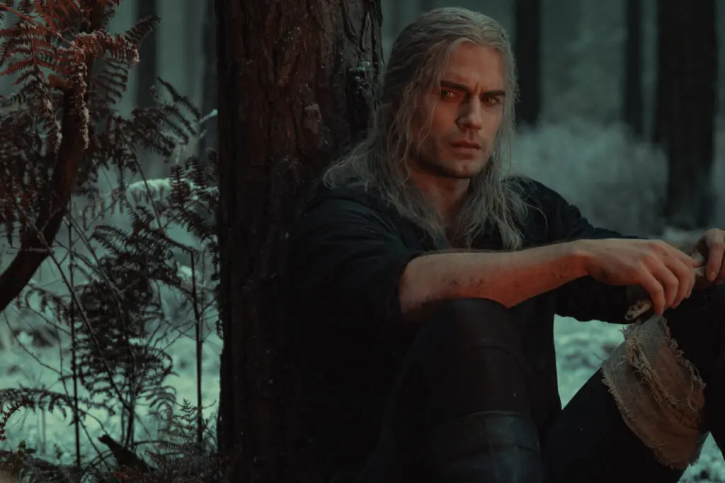 The witcher