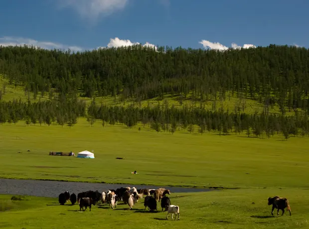 Los mejores 10 países para viajar en 2017 Tsenkher_hot_spring_mongolia