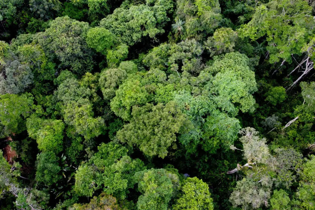 Colombia: 5 destinos por descubrir según fotógrafos de viajes Vaupés