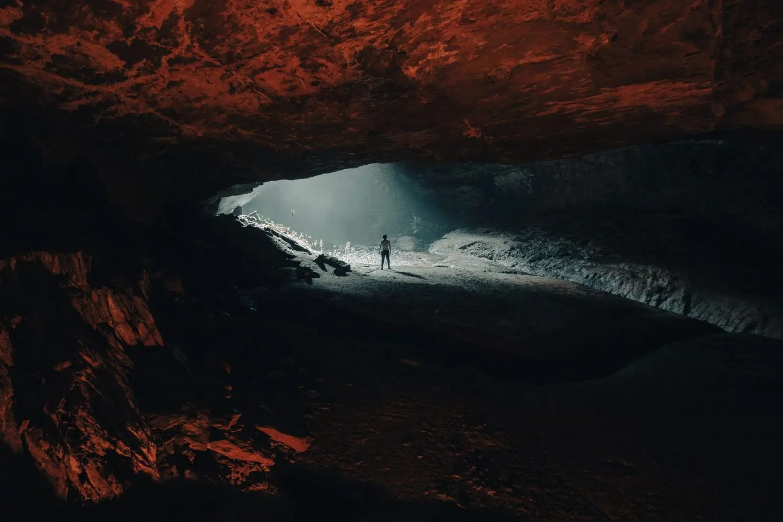 Bosques de Pandora, en El Peñon, Santander.