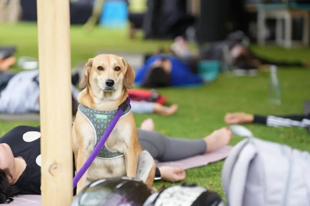 Eventos culturales y conciertos en Vassar