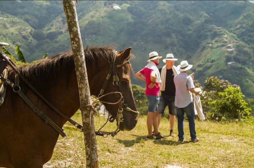 Cinco hospedajes de lujo con experiencias diferentes y emocionantes en Colombia