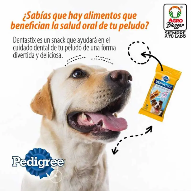 Las mejores tiendas en línea para comprar en colombia Tiendas en línea