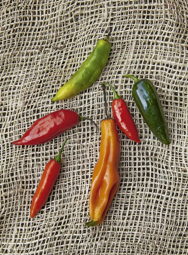 Guía para recorrer la plaza de mercado: ¿Cómo comprar en Paloquemao? Paloquemao