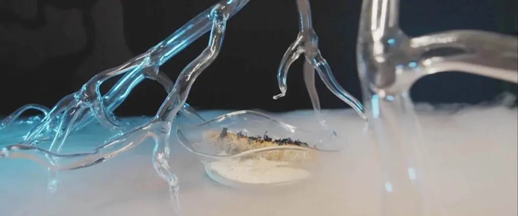 Alimento futuro, la nueva experiencia para vivir en bogotá