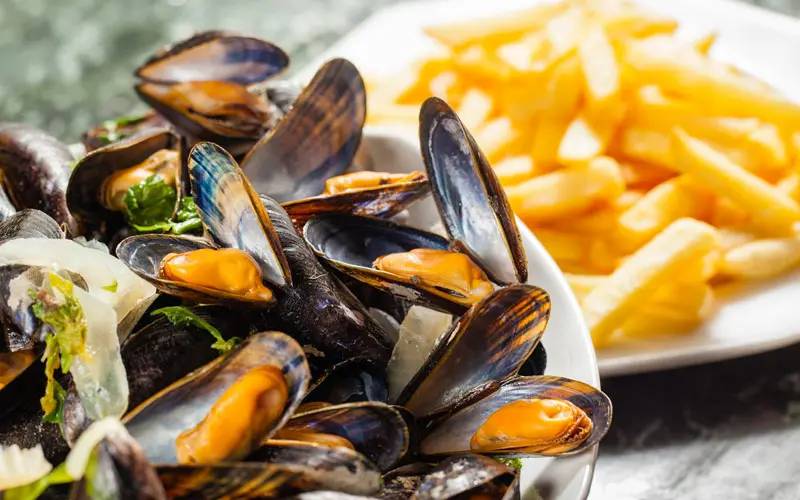 Croacia y Bélgica: las revelaciones de Europa