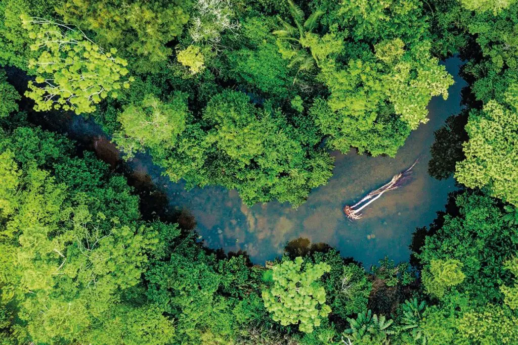 Cuatro rutas para descubrir las artesanías colombianas