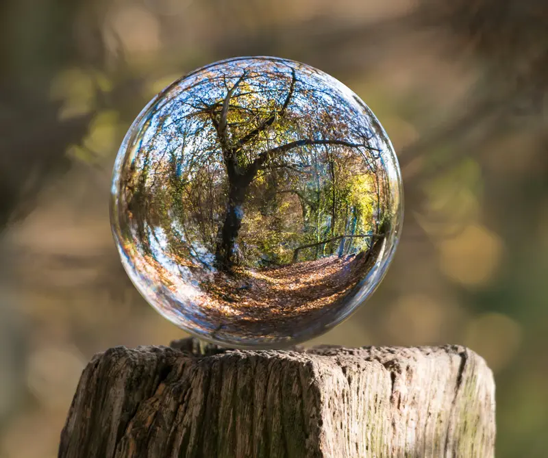 Dos verdades crudas sobre el medioambiente