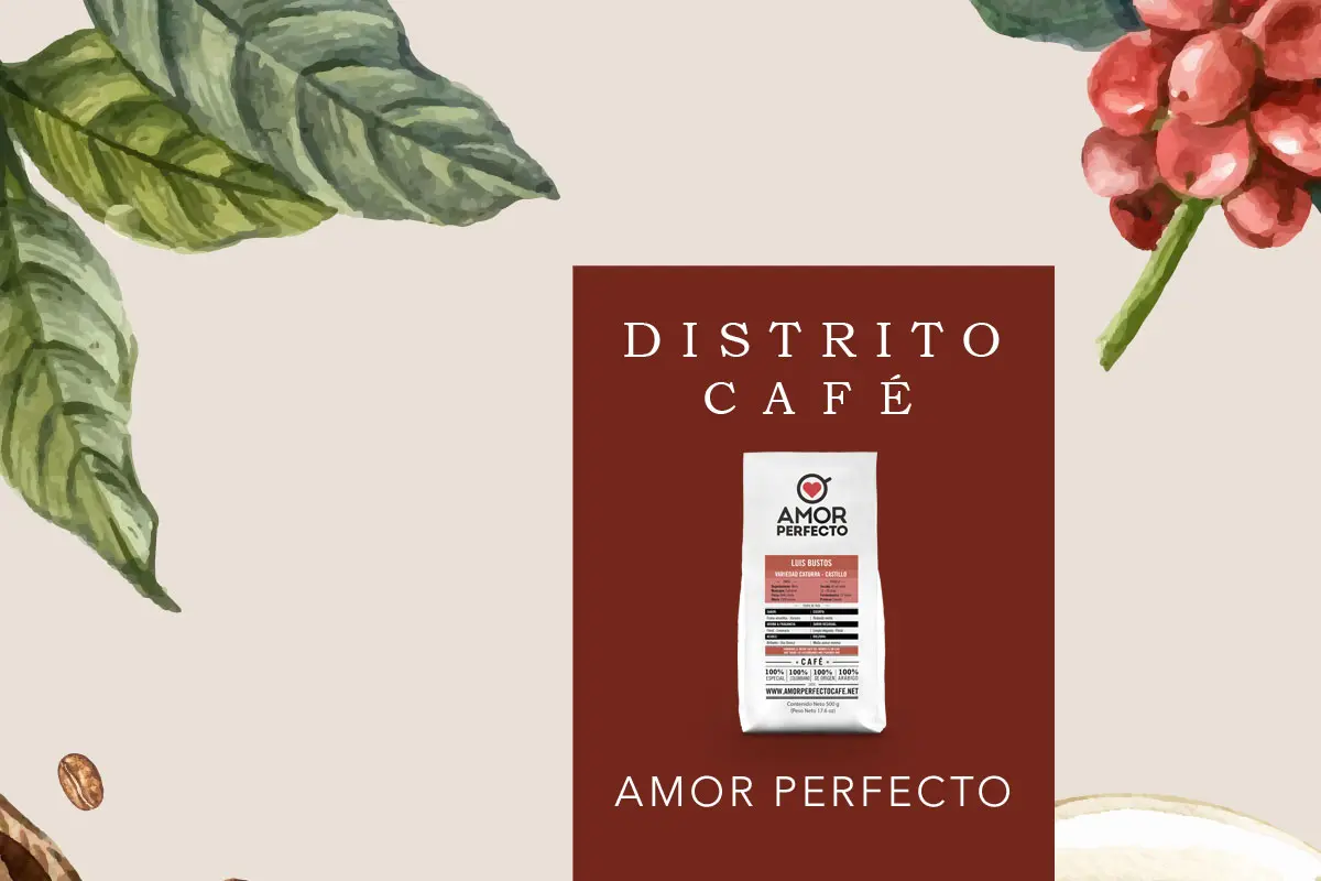 Amor perfecto