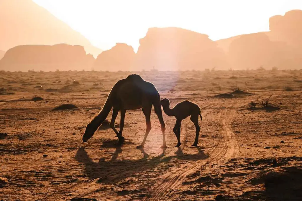 Diez lugares ideales para recorrer en bicicleta