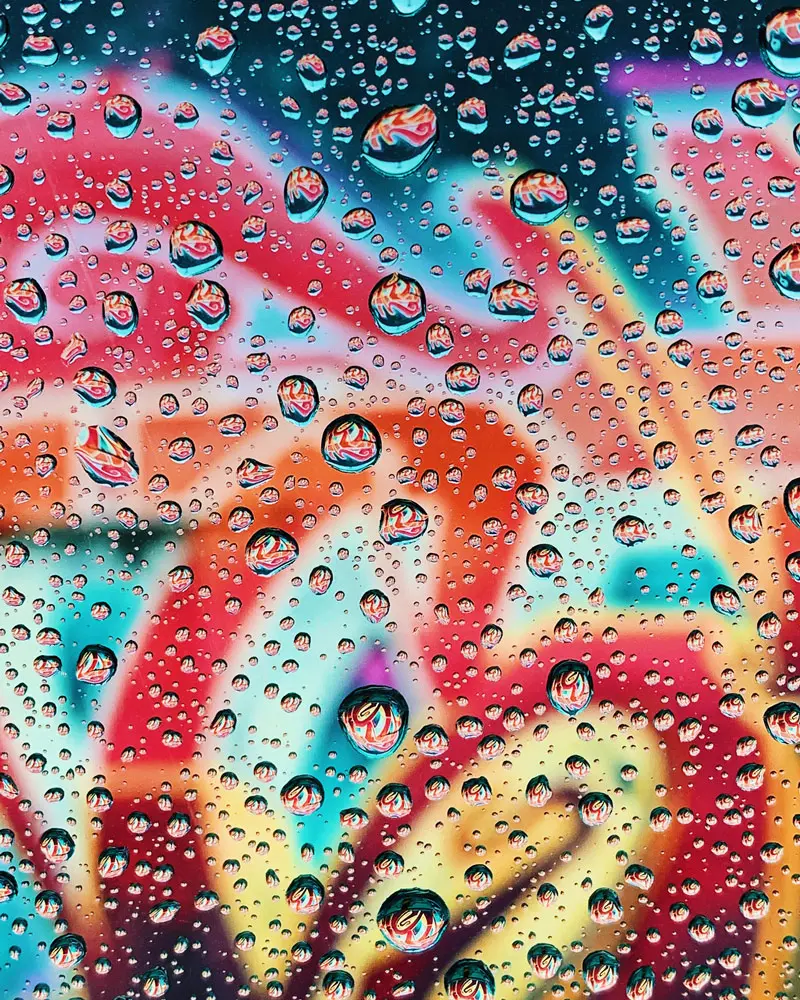 Estas son las mejores fotos tomadas con iPhone Estas son las mejores fotos tomadas con iPhone