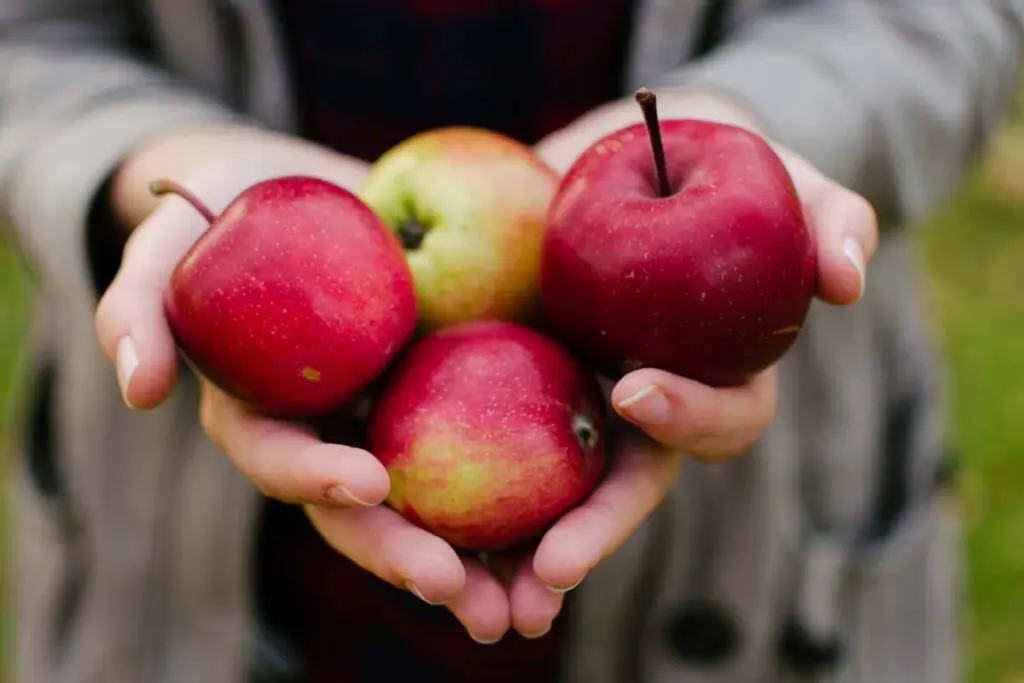 Cinco razones por las que empezará a comer una manzana todos los días manzana