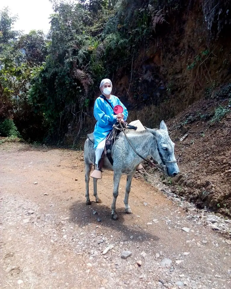 Ella es Blanca Zuluaga, la enfermera que lleva las vacunas a lomo de mula en Aranzazu Aranzazu