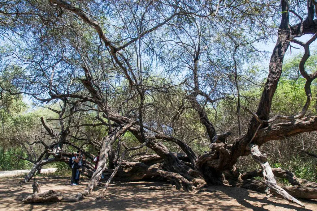 Destinos sostenibles en perú