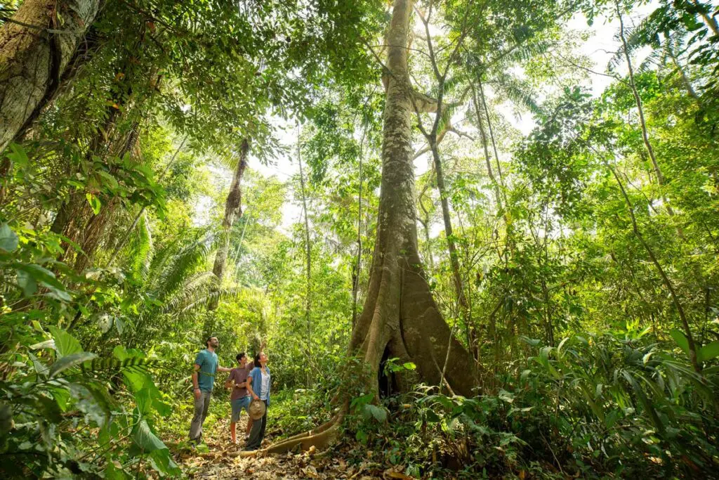 El lujo y la naturaleza se encuentran en el Amazonas del Perú