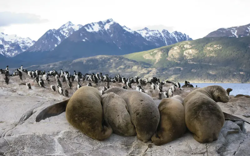 Ushuaia y El Calafate: Un viaje al fin del mundo