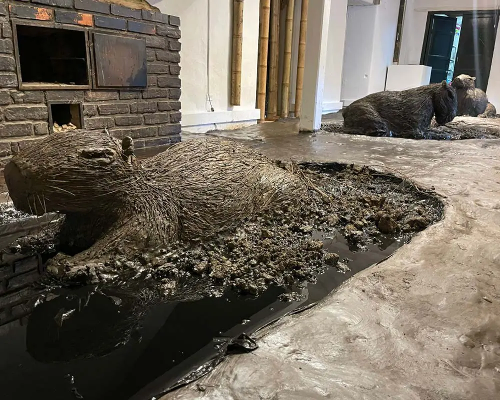 Planes en Bogotá de arte, música y fitness para disfrutar en familia