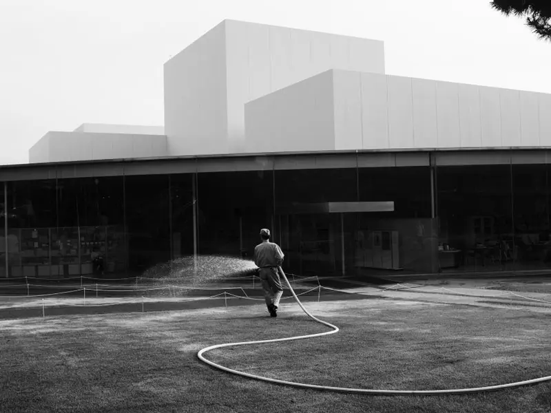 Galería: Vea las fotos finalistas del Sony World Photography Awards 2019