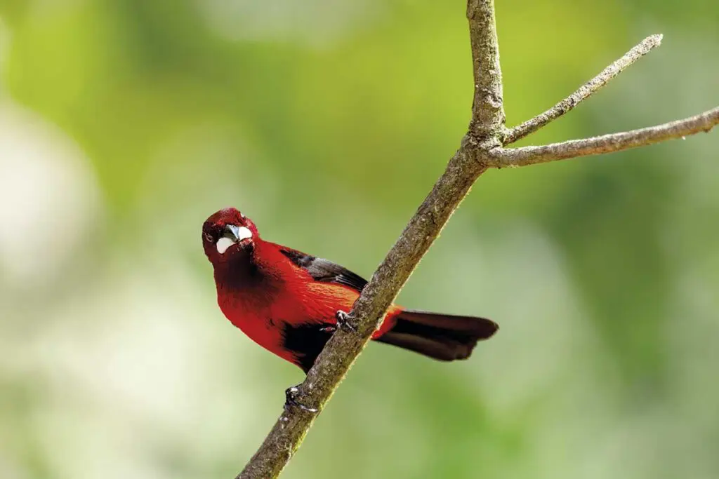 Santa Marta, la ciudad de Colombia para visitar en 2025