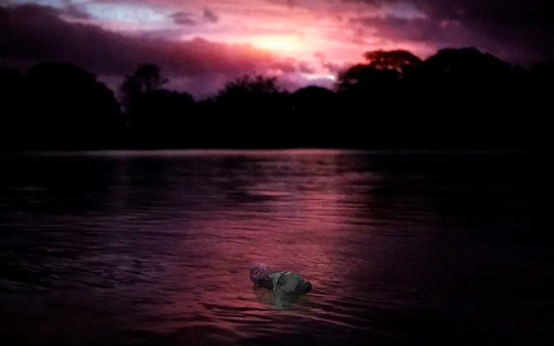 “la isla de plástico también es culpa de nosotros”, pirry