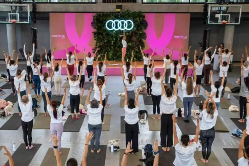 Pink yoga, audi