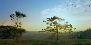 Un documental de Discovery muestra los caminos ocultos del Caquetá Un documental de Discovery muestra los caminos ocultos del Caquetá