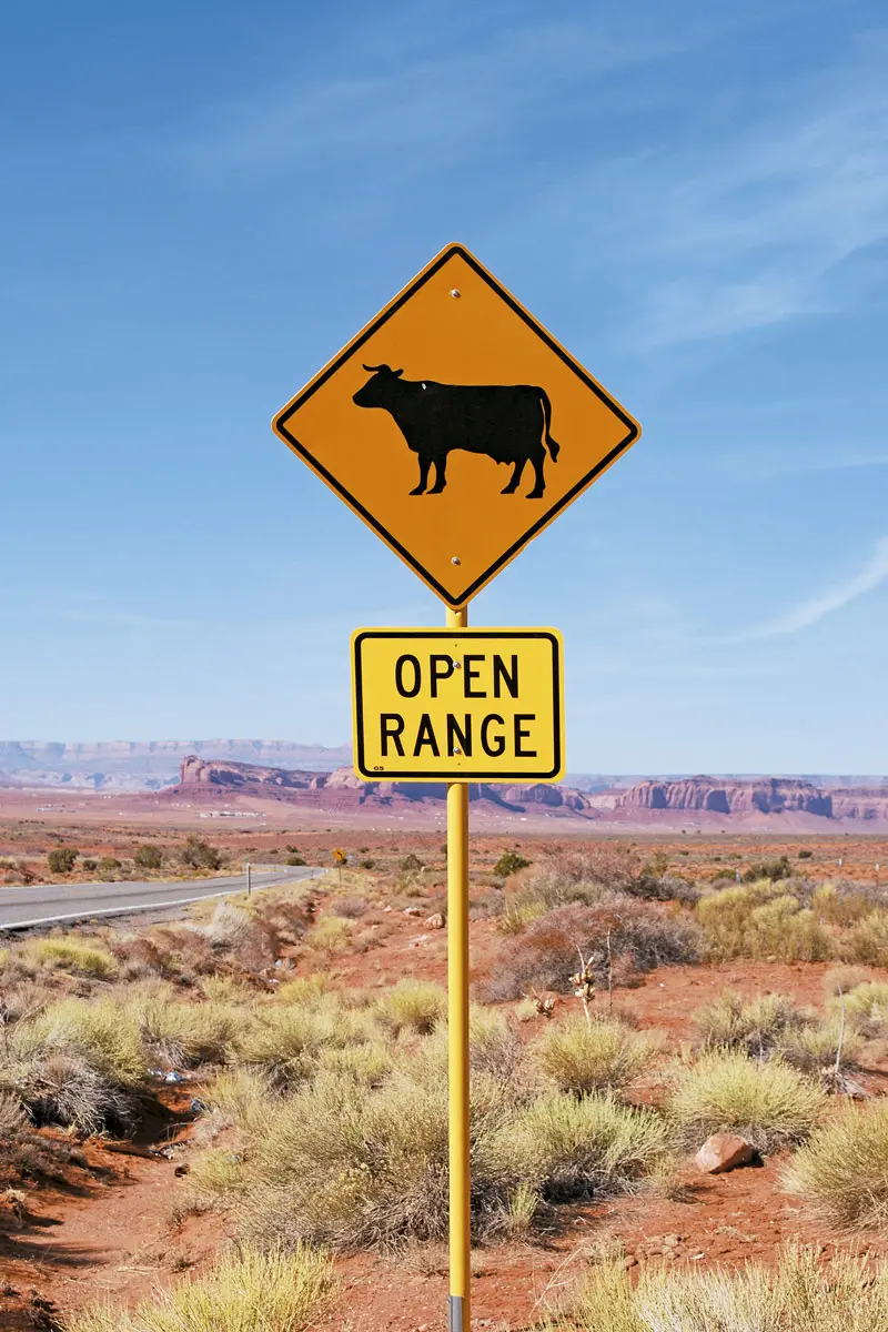 "Este fue el mejor viaje de mi vida, pero no se lo recomiendo a nadie"