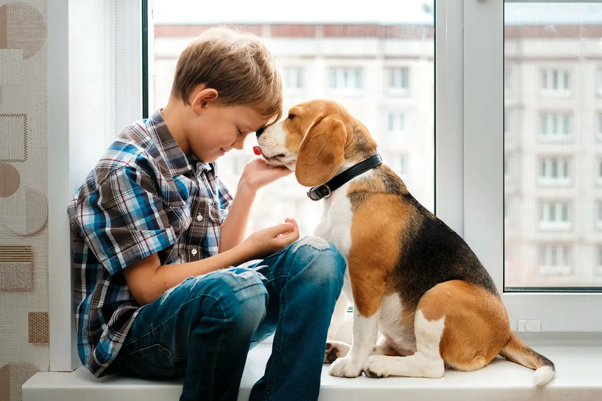 Perros de asistencia: cuando una mascota le puede salvar la vida