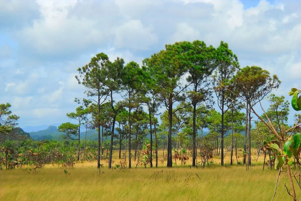Los 5 mejores destinos para conectarse con la naturaleza en 2022, según natgeo Belice destinos para conectarse con la naturaleza
