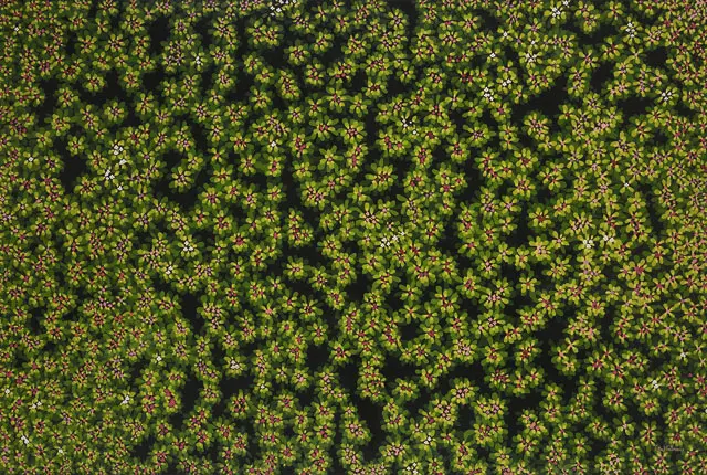 La poesía visual de ethel gilmour