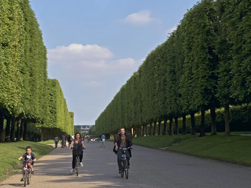 Recorra florencia, barcelona y parís en bicicleta