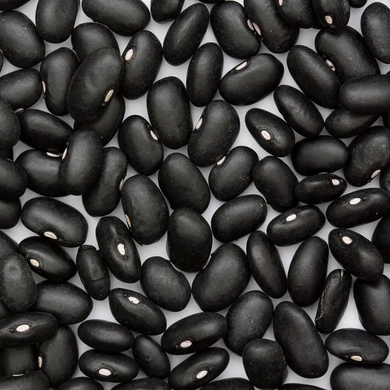 Frijol negro