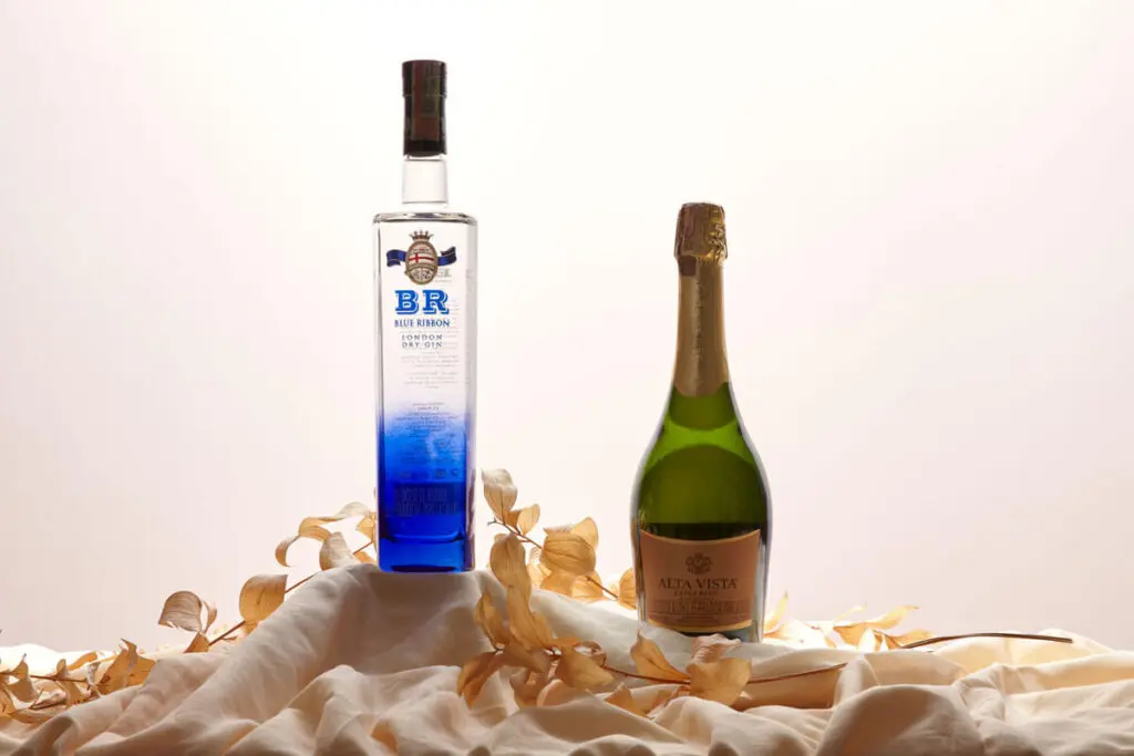 6 vinos chilenos y argentinos para cada ocasión