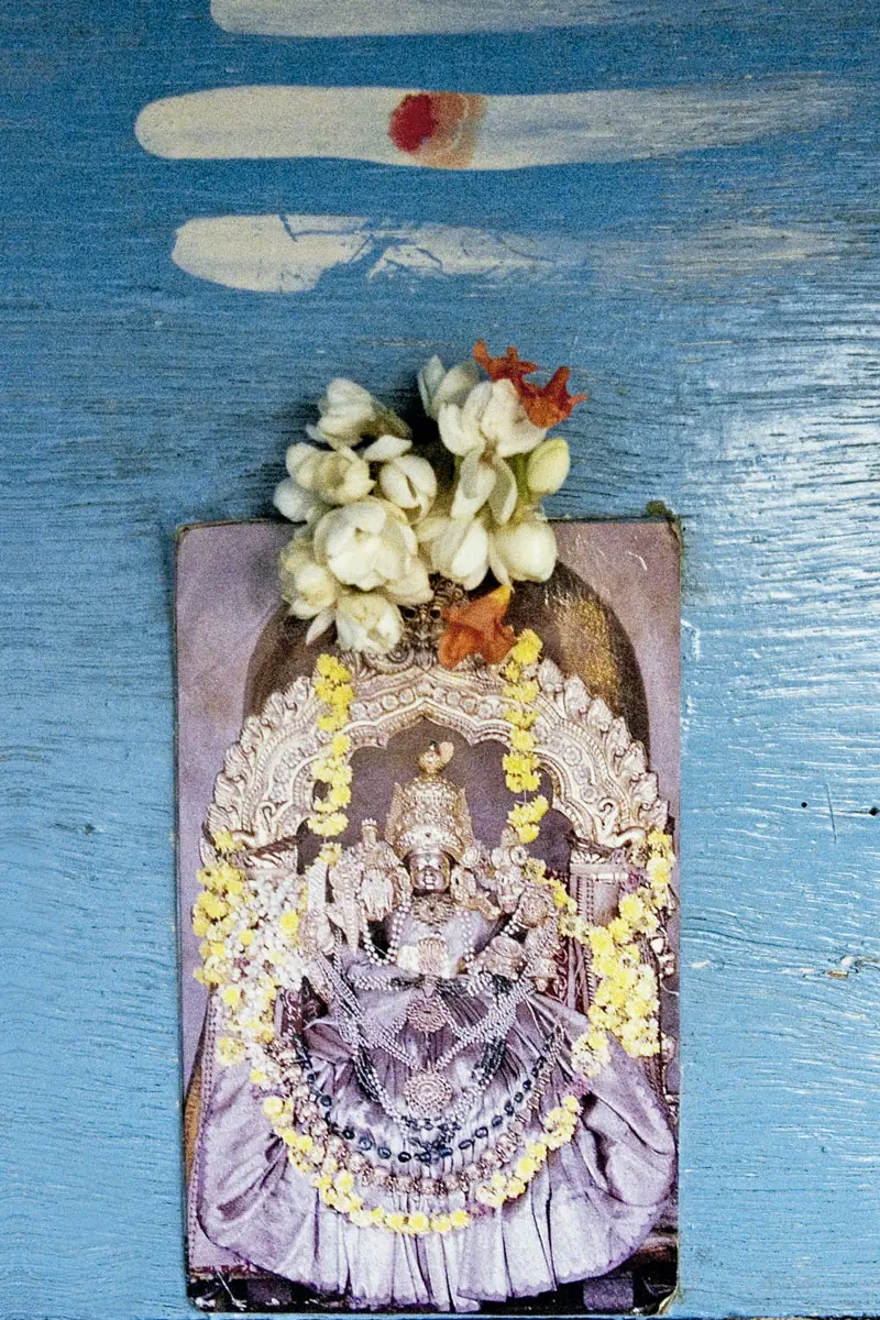 Un viaje espiritual por la india