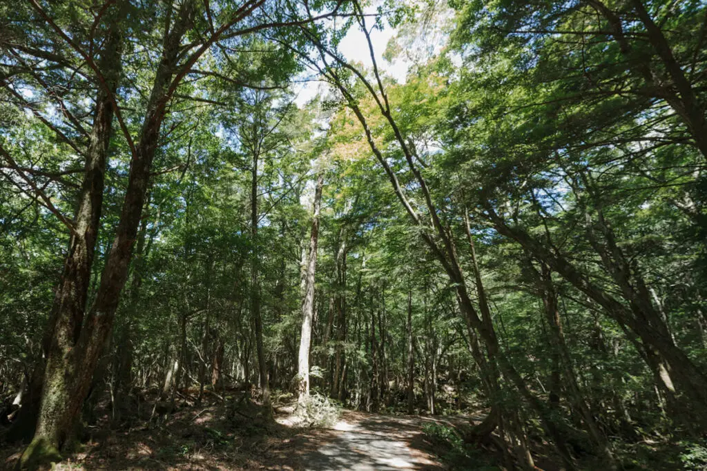 6 lugares embrujados para visitar en halloween Lugares embrujados