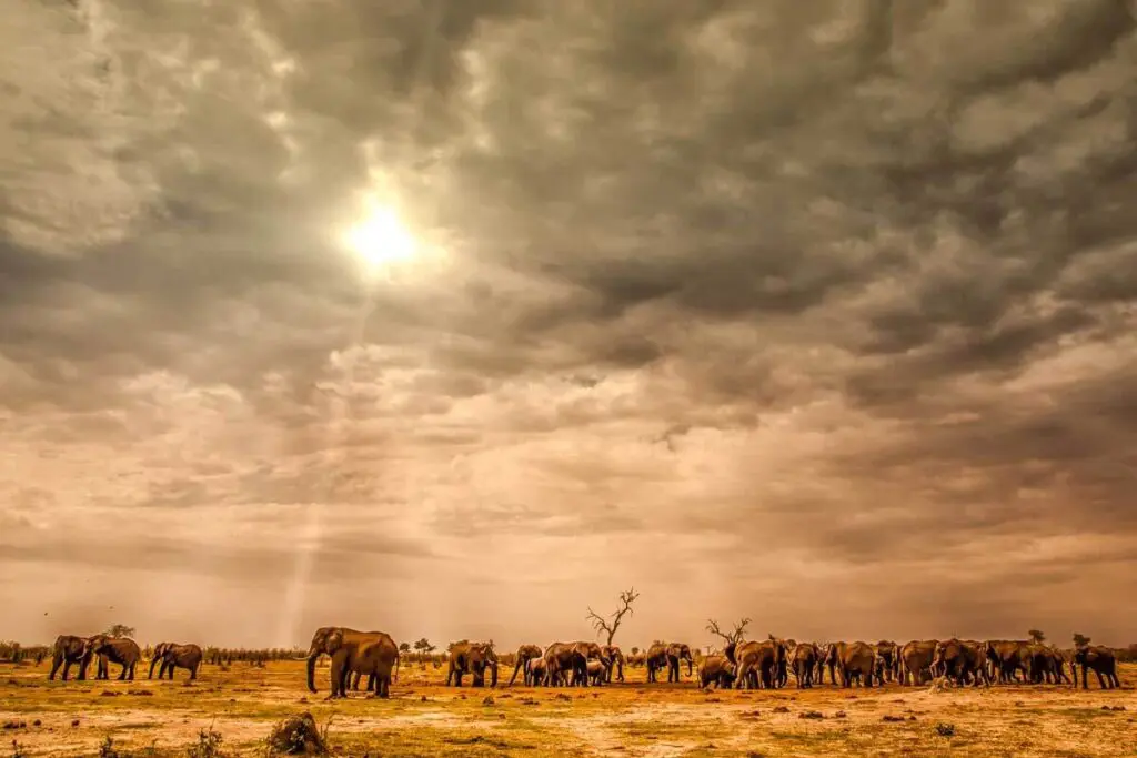 Colombia: ¿el lugar más amigable del mundo? Colombia: ¿el lugar más amigable del mundo?