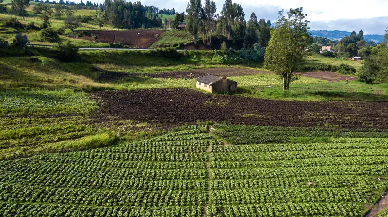 Boyacá: un departamento lleno de historia y lugares por conocer Boyacá: un departamento lleno de historia y lugares por conocer