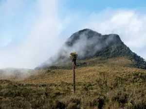 Desde ocetá hasta el patio de brujas: los tesoros ocultos de boyacá