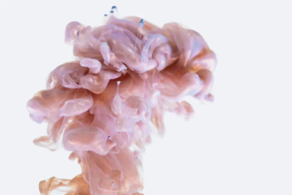 ¿qué sucede en el cerebro durante la muerte? Cerebro durante la muerte