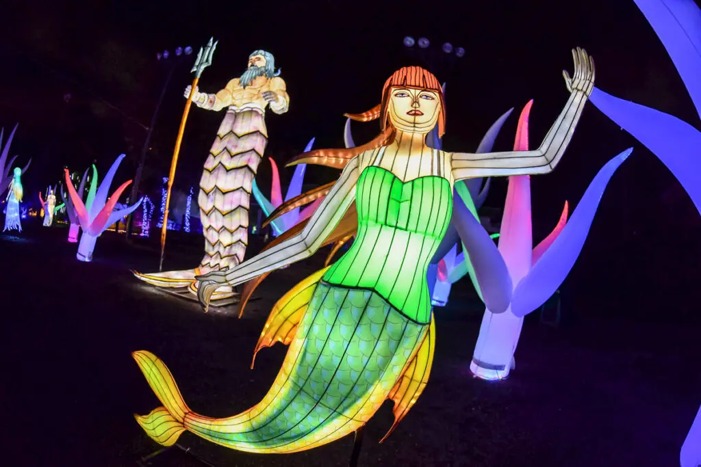 Diciembre en bogotá