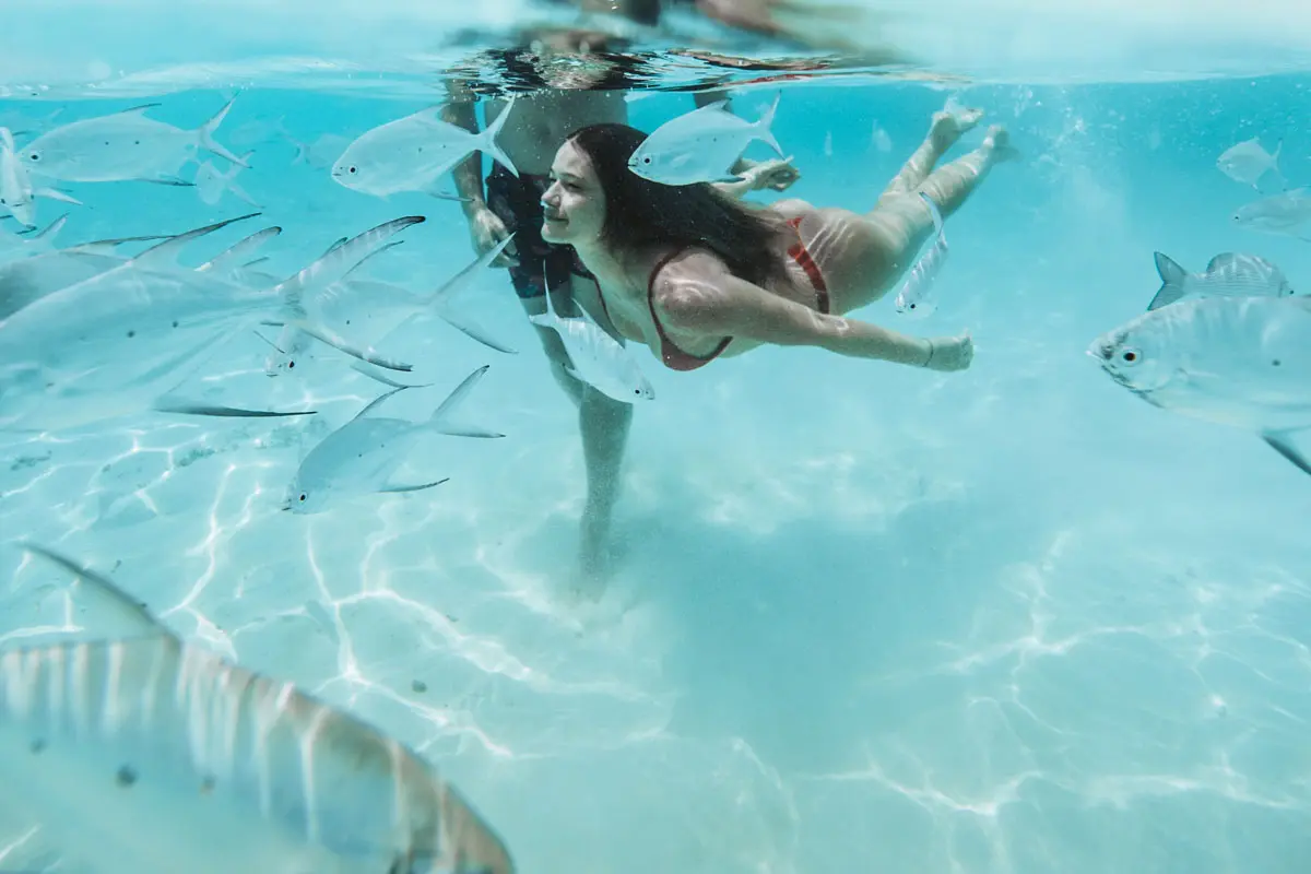 Bucear en colombia: siete destinos imperdibles para nadar con peces Isla gorgona, buceo