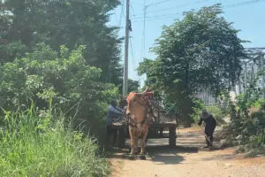 De ciénaga a aracataca: la ruta mágica por el macondo de gabo