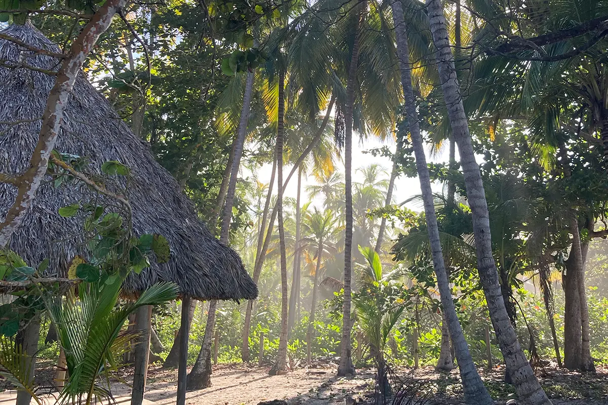 Buritaca, un paraíso de río y mar en Santa Marta Buritaca