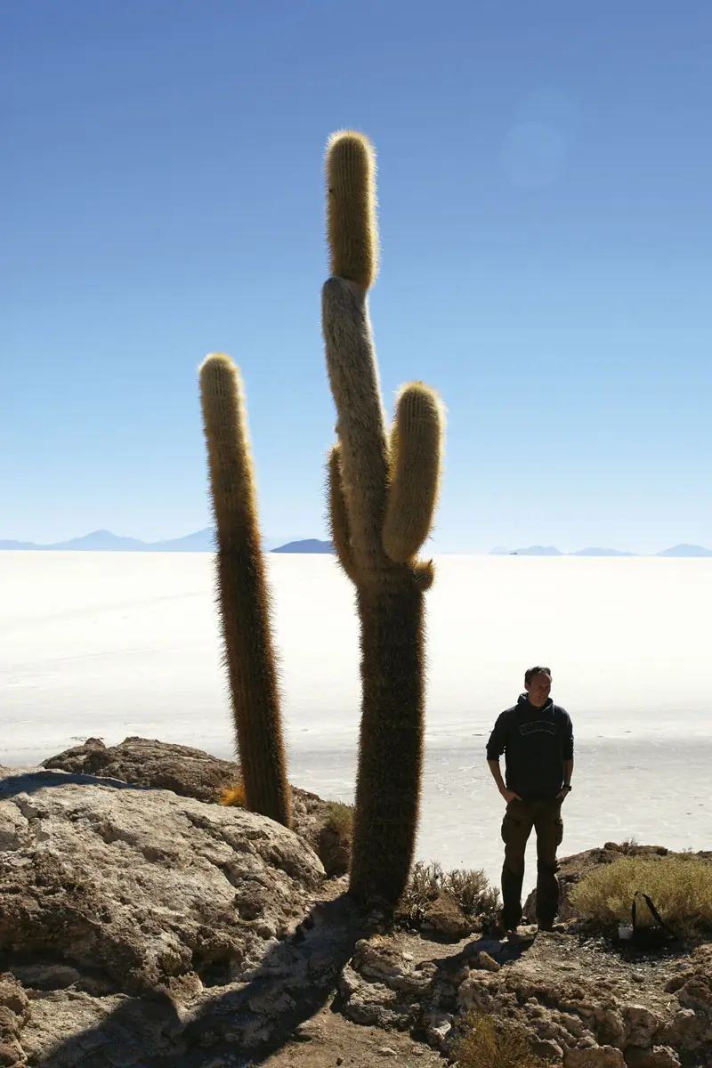 vegetación de uyuni