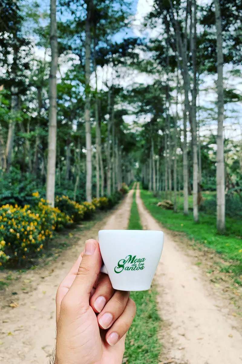 Café mesa de los santos